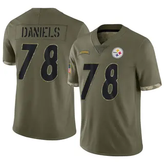 Men's Pittsburgh Steelers #81 Jesse James Black Anthracite 2016 Salute To  Service Stitched Nfl Nike Limited Jersey - WorkArtIdea - WORKARTIDEA